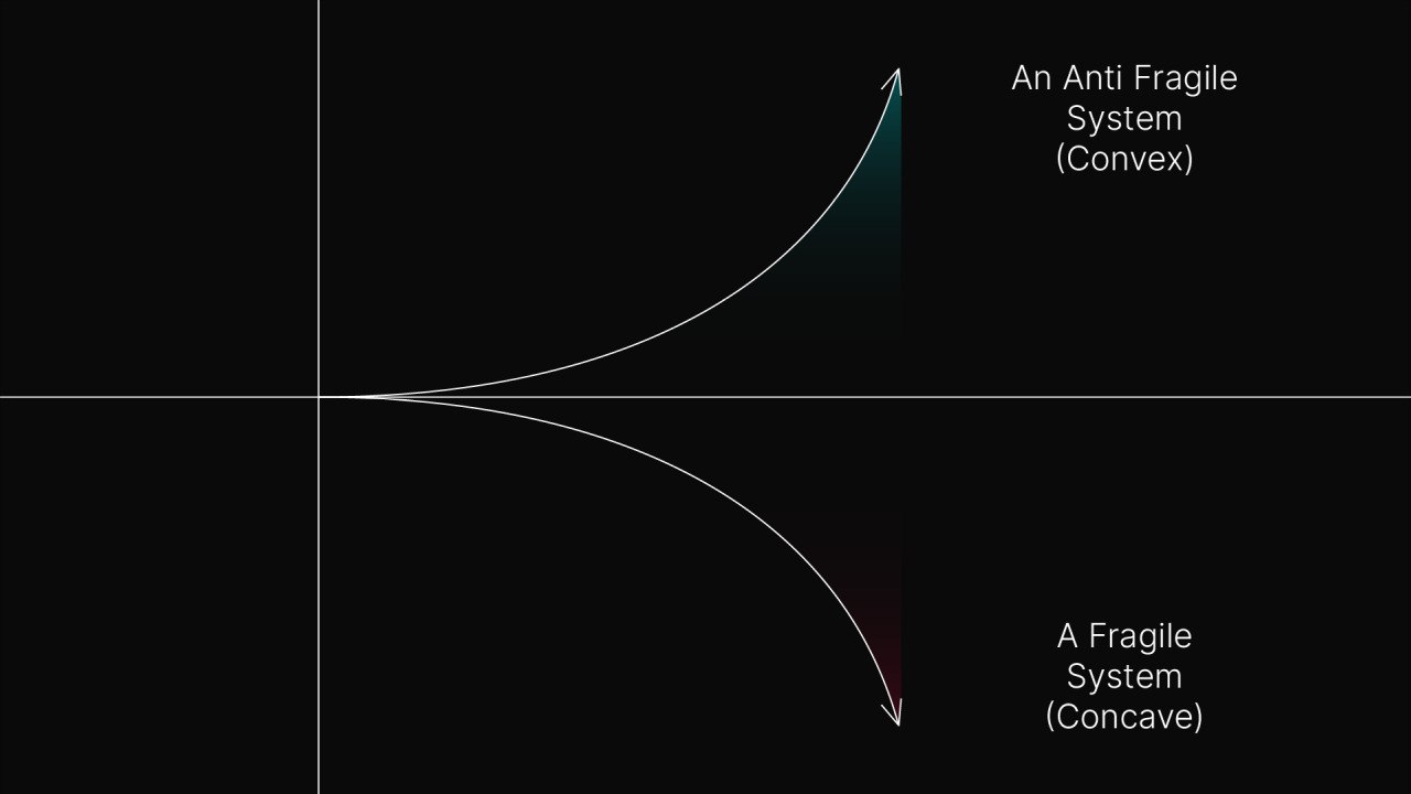 Fragile vs antifragile